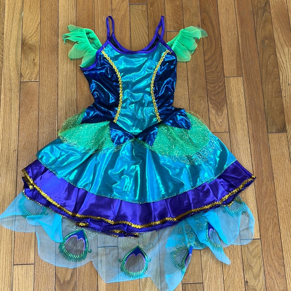 Peacock costume or dress-up